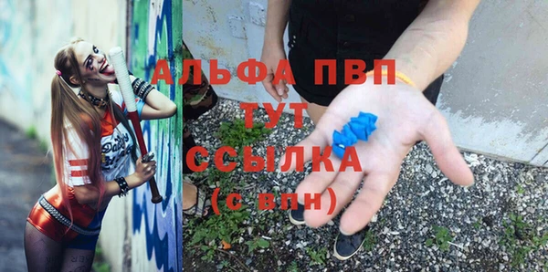 индика Алексеевка