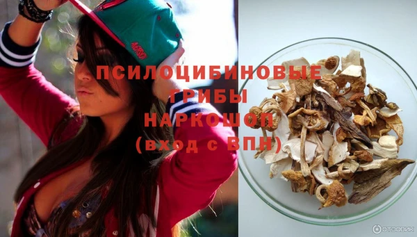 a pvp Алзамай
