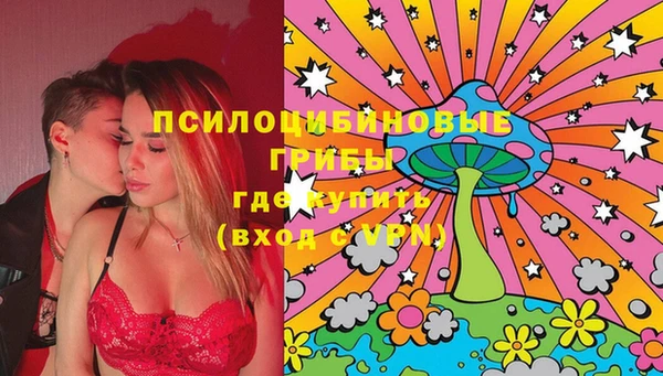 дмт Алексин