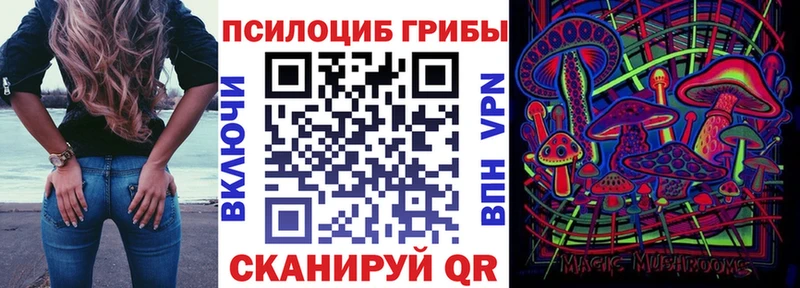 Псилоцибиновые грибы Magic Shrooms mega сайт Ржев как найти закладки